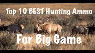 Top 10 Best Hunting Ammo For Big Game!