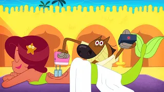 Zig & Sharko 🤩 Marina day at the Spa (SEASON 2) Cartoon Full Episode in HD