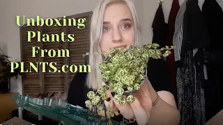 PLNTS.com Unboxing 2 | Opening Plant Mail