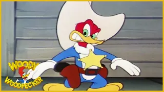 Woody Woodpecker | Wild and Woody | Old Cartoons | Woody Woodpecker Full Episodes |  *Remastered*