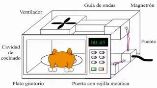 ¿Cómo funciona un horno de microondas? / microwave
