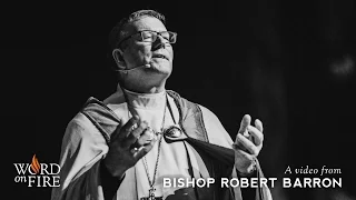 "Mercy and the Cross" - Bishop Barron at 2016 World Youth Day