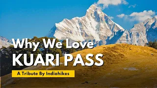 Why We Love Kuari Pass Trek | A Tribute by Indiahikes