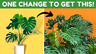 9 Genius Hacks Plant Experts Use For Healthy Plants