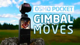 DJI Osmo Pocket & Pocket 2 CINEMATIC Gimbal Moves. (Creative Tips)
