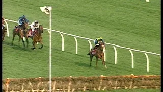 Make A Stand - 1997 Champion Hurdle