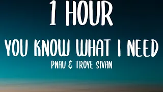 PNAU & Troye Sivan - You Know What I Need (1 HOUR/Lyrics)