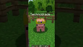 Technoblade Never Dies ❤❤ #shorts #minecraft #minecraftshorts #technoblade #technobladeneverdies