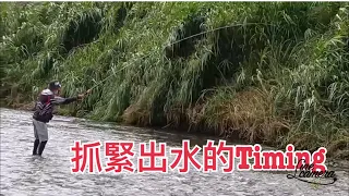 Creek fishing in Taiwan 難得的好機會抓緊大雨後的出水衝一波