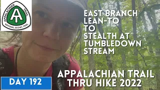 Appalachian Trail Thru Hike 2022 | Day 192 | East Branch Lean-To to Stealth at Tumbledown Stream
