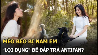 Mèo Béo bị Nam Em "lợi dụng" để đáp trả antifan?