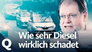 Todesfälle durch Diesel Gate: Stimmt das? | Quarks