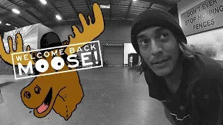 Moose - Welcome Back