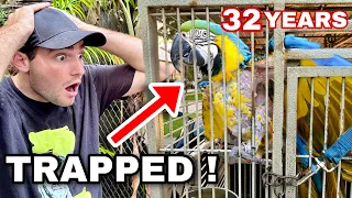 RESCUED PARROT TRAPPED FOR 32 YEARS ! WILL HE SURVIVE ?!