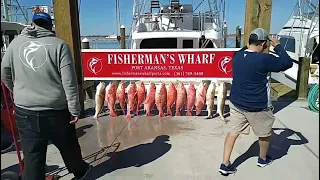 Red Snapper in State Waters. Port Aransas Texas.