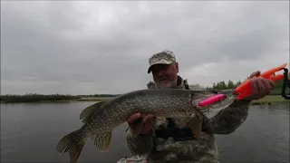 Жабовник. Ловля щуки на мелководье.