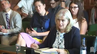 Professor Catherine Barnard and Professor Steve Peers at European Scrutiny Committee 17/07/2019