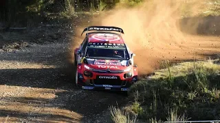 WRC Chile 2019, Full Action. Fans video compilation. Mistakes and Crash