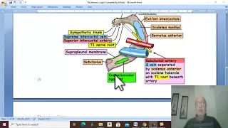 Respiratory module 4 (Thoracic cage , part 4),by Dr ,Wahdan