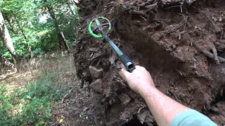 Fast Metal Detecting Action In The Windy Forest!