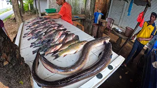 Amazing!! Eel Fish Cutting & Cleaning Skills For Dinner Best Eel Fish Cutting In Sri Lanka