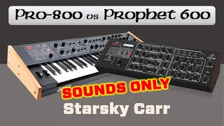 Behringer Pro 800 vs Prophet 600 // SOUNDS ONLY