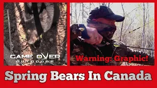 GRAPHIC! Spring archery bears in New Brunswick, Canada.