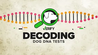 Decoding Dog DNA Tests