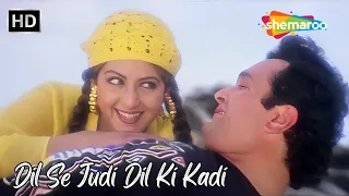 Dil Se Judi Dil Ki Kadi | Rishi Kapoor, Sridevi | Kumar Sanu Songs | Kaun Sachcha Kaun Jhootha Songs