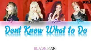 BLACKPINK - 'Dont Know What to Do' (Color Coded Lyrics Han/Rom/Eng/가사 )