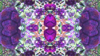 Virtual Rave Visuals 010 - The All - 4K 60fps Psychedelic Rainbow Fractals