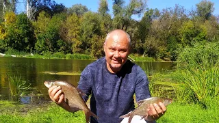 Рыбалка в Донецкой области 2023, фидер на Северском Донце.