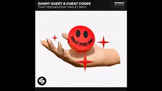Danny Quest & Cheat Codes Feat. Hayley May - That Feeling