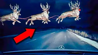 10 Times Rudolph The Rednosed Reindeer Was Caught On Camera