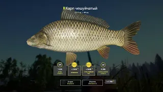 Русская рыбалка 4 Старый Острог Карп Амур РОЗЫГРЫШЬ