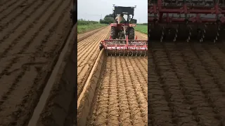 Garlic Farming Machine Save Time #satisfying #shortsvideo