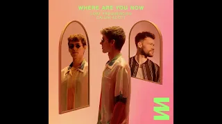 Lost Frequencies & Calum Scott - Where Are You Now (1 Hour Version)