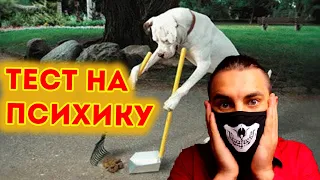 ТЕСТ НА ПСИХИКУ/ ПОПРОБУЙ НЕ ЗАСМЕЯТЬСЯ / ЛУЧШИЕ ПРИКОЛЫ | Реакция