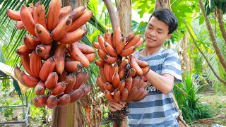 Don't eat raw, but make Red Banana Sweeter - Red Banana Dessert - Sweet Fruit cooking