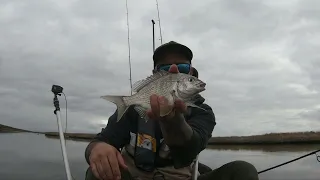 Bream fishing Fitzroy river South west Victoria