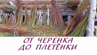 От черенка до плетёнки (19.11.2022)