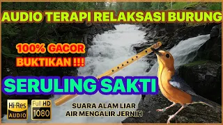 🔴 AUDIO TERAPI SERULING SAKTI ANIS MERAH + TERAPI AIR [PANCINGAN BURUNG ANIS MERAH BIAR NGEPLONG]