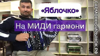 Яблочко на МИДИ ГАРМОНИ! электрогармонь, миди система гармонь