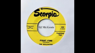 The Golliwogs ‎– Fight Fire (High Quality)