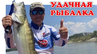 На Что Клюет Судак на Дону ▶ Fishing 2023