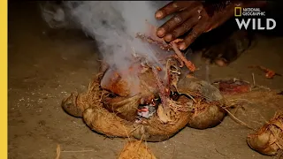 Living With Elephants | Nat Geo WILD