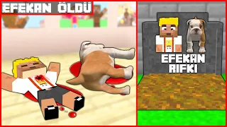 ARDA'NIN BEBEĞİ EFEKAN VE KÖPEĞİ ÖLDÜ! 😱- Minecraft ZENGİN FAKİR HAYATI