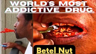 World's most Addictive Drug#Betel Nut#Know More#facts#factual bytes #intrestingfacts#2023