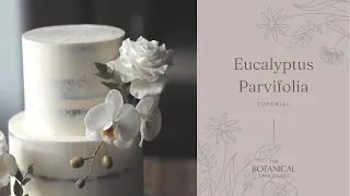 Gumpaste Eucalyptus Parvifolia Sugar Foliage Tutorial (Gumpaste / Flower Paste)