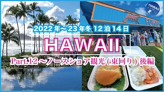 2022～23年冬！ハワイ旅行 🌺 Part⑫【ノースショア観光(東回り) ～後編～】ドライブ🚙でオアフ島の北へ、絶景スポット│ロコが認める、ガーリックシュリンプ│タールベイリゾート│ウミガメに会う